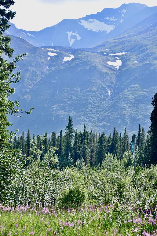 The Perch Resort Denali Park Zewnętrze zdjęcie