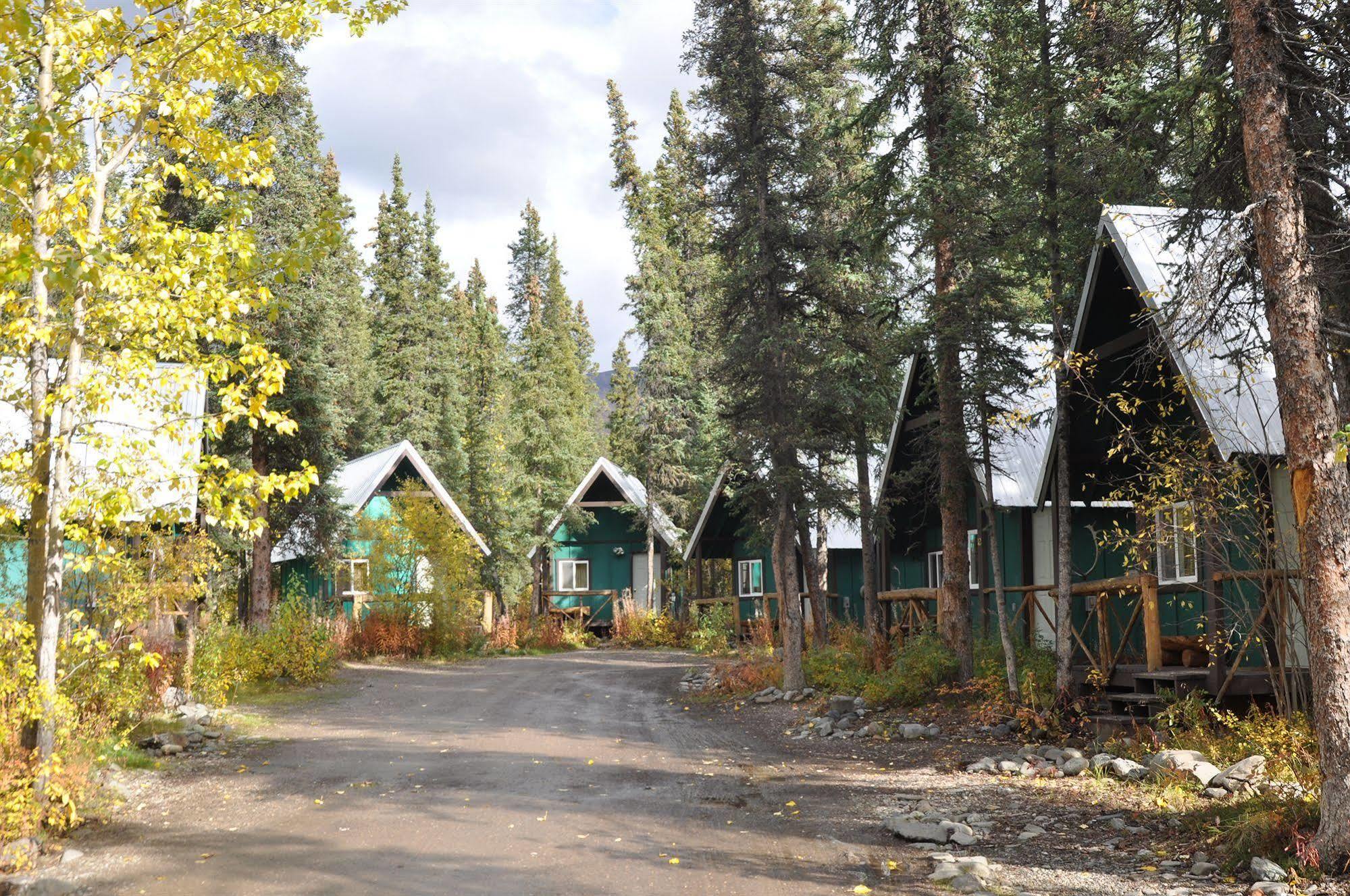 The Perch Resort Denali Park Zewnętrze zdjęcie