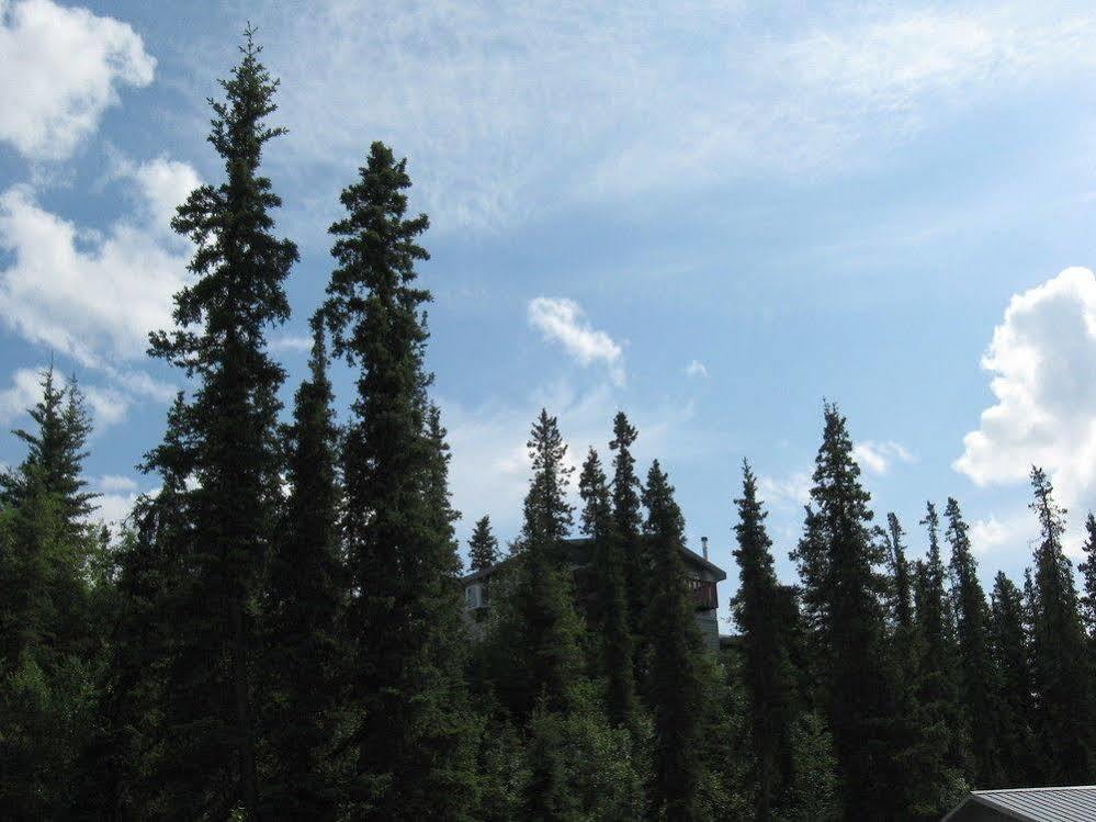 The Perch Resort Denali Park Zewnętrze zdjęcie