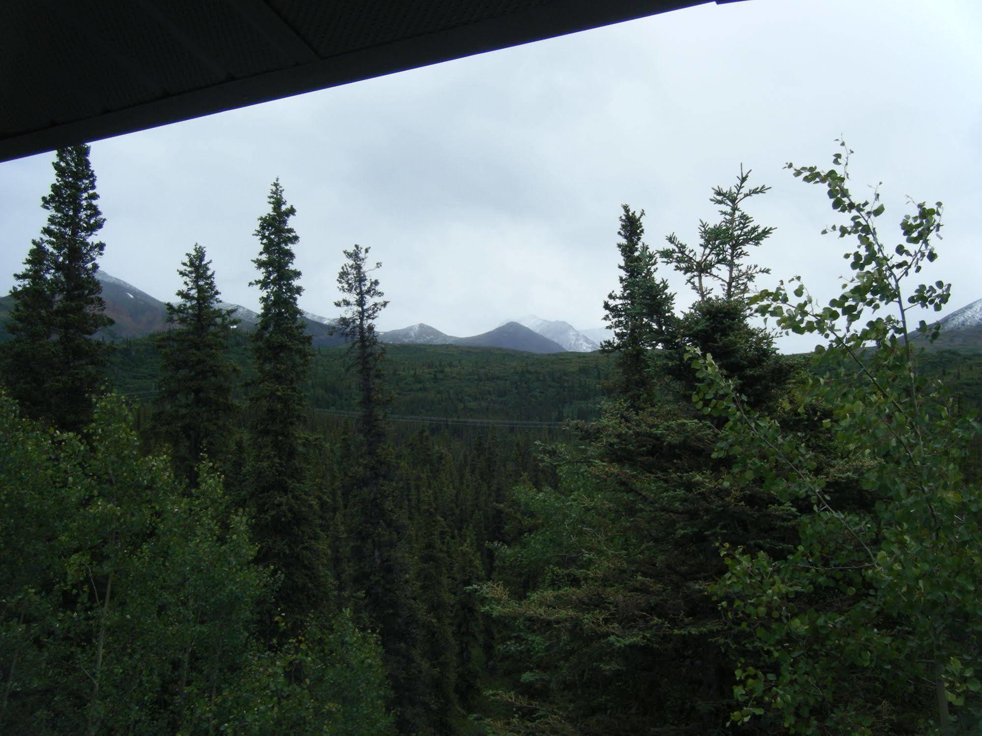 The Perch Resort Denali Park Zewnętrze zdjęcie